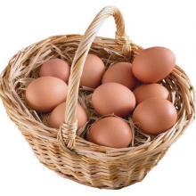 Куриные яйца – полезны или вредны?