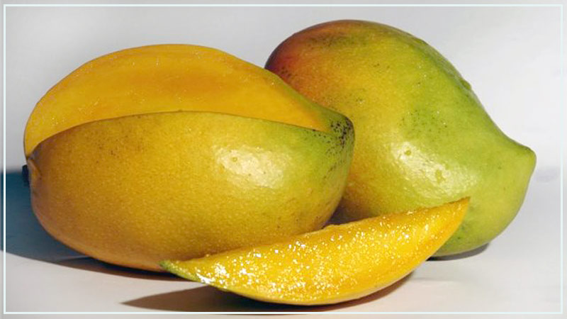 манго