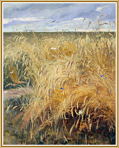 поля пшеничные