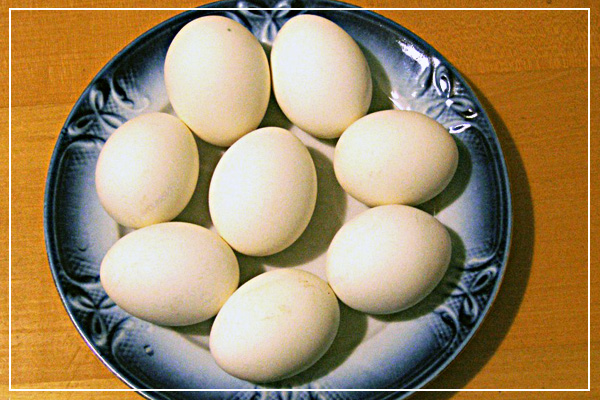 вкрутую сваренные яйца